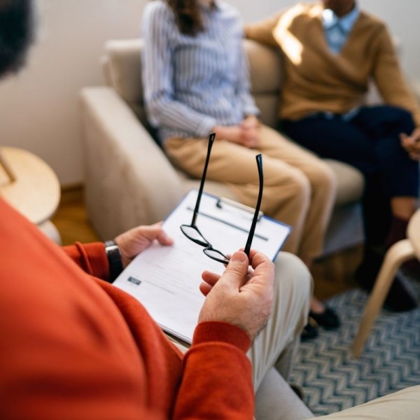 Çift Danışmanlığı